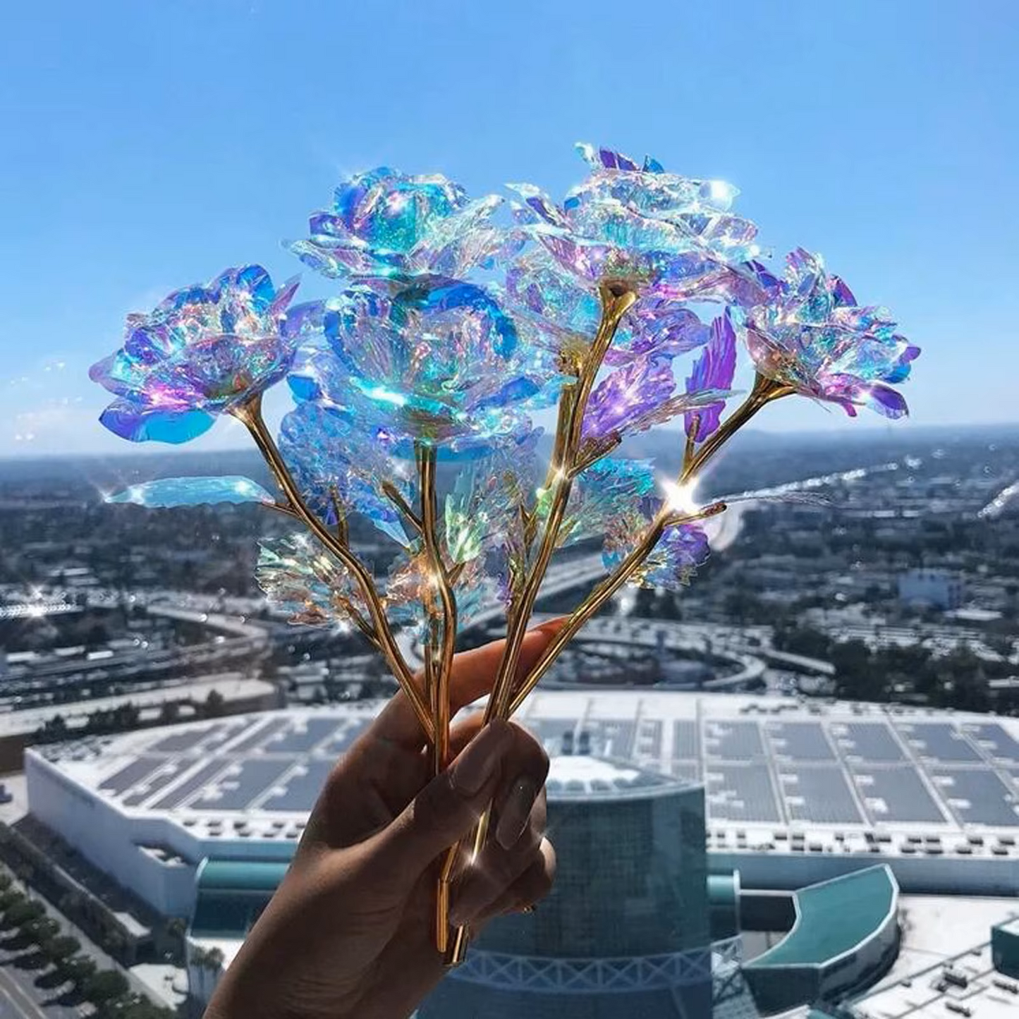 MOONOVA – Holografische Forever Roos – Eeuwig Stralend Geschenk MOONOVA