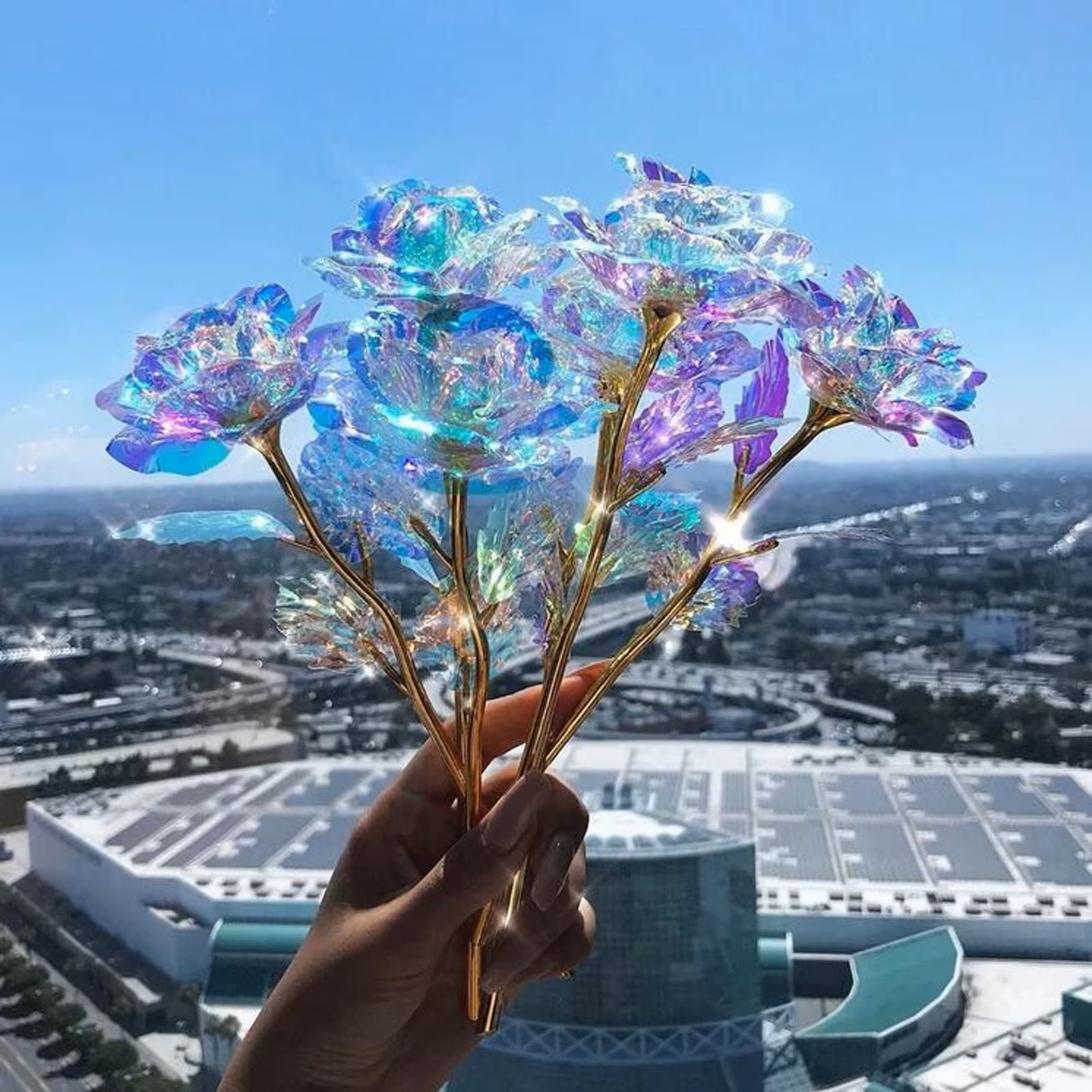 MOONOVA – Holografische Forever Roos – Eeuwig Stralend Geschenk MOONOVA