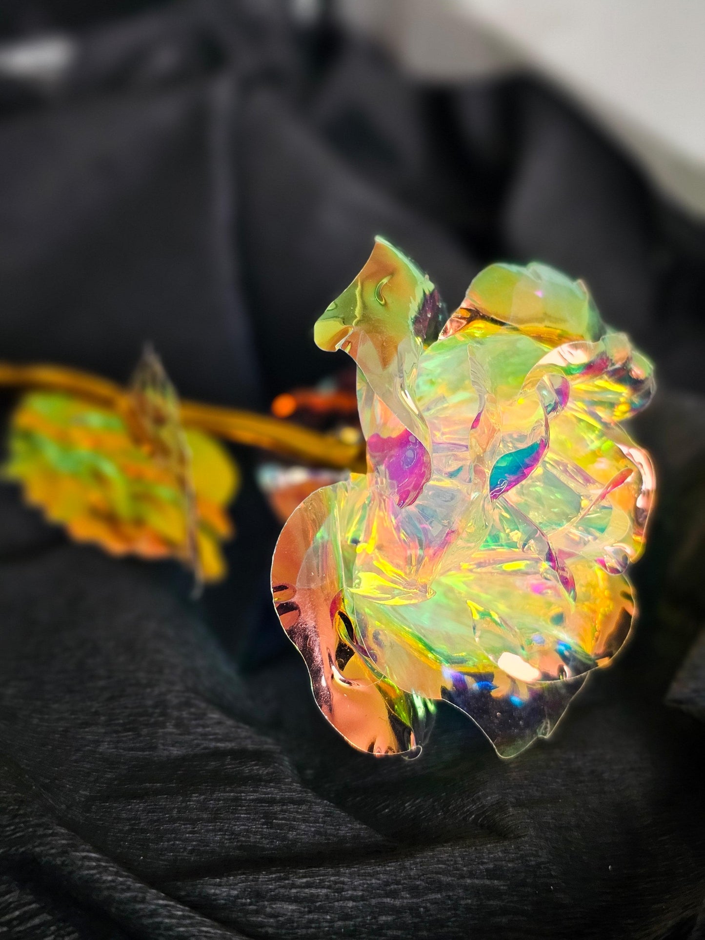 MOONOVA – Holografische Forever Roos – Eeuwig Stralend Geschenk MOONOVA